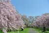 「江刺区館山史跡公園です！」
