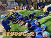 「今日の1枚📷」