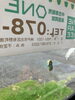 おひるね中の🐸お腹からのショットです📷「自治会だより掲載のお礼と、低年式車大歓迎＆店頭の珍客パート2のお知らせ」