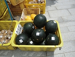 特産物の甘くておいしいスイカはいかが？