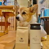 hug「Good morning Otaru」