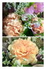 「カーネーションの花束」