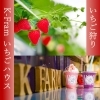 「K-FARM いちごハウス」100年の歴史を持つ鎌ヶ谷の梨農園が、いちご狩りを始めます！