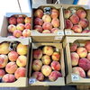 「信州産『桃』入荷しました！道の駅木曽福島」