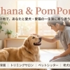 Ohana&PomPon