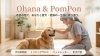「Ohana＆PomPon」赤羽　犬の保育園＆サロン　子犬から老犬、猫ちゃんも安心サポート！