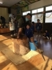 ぺったんこ　それ　ぺったんこ　「１９日におもちつき会をしました！臼に入ったお餅を一人ひとり杵を持ってぺったんこしました☆」