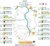 ゼンリン 八千代市 2018年 地図・旅行ガイド