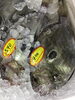 「魚魚市場鮮魚コーナーおすすめは「ボイルタコ」です♪」