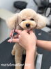 「秋のオプションキャンペーン　^o^」
