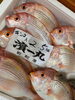 「鮮魚入荷してます」