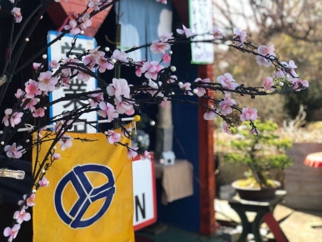入口にはしだれ桜「桜ディスプレイになりました！【リバーサイド　ライラック】」