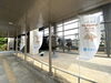 「～新居浜市役所があかがねポイント一色に～」