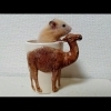 ラクダに乗る！？おもしろ可愛いハムスターHamster to ride a camel cute funny　＃32