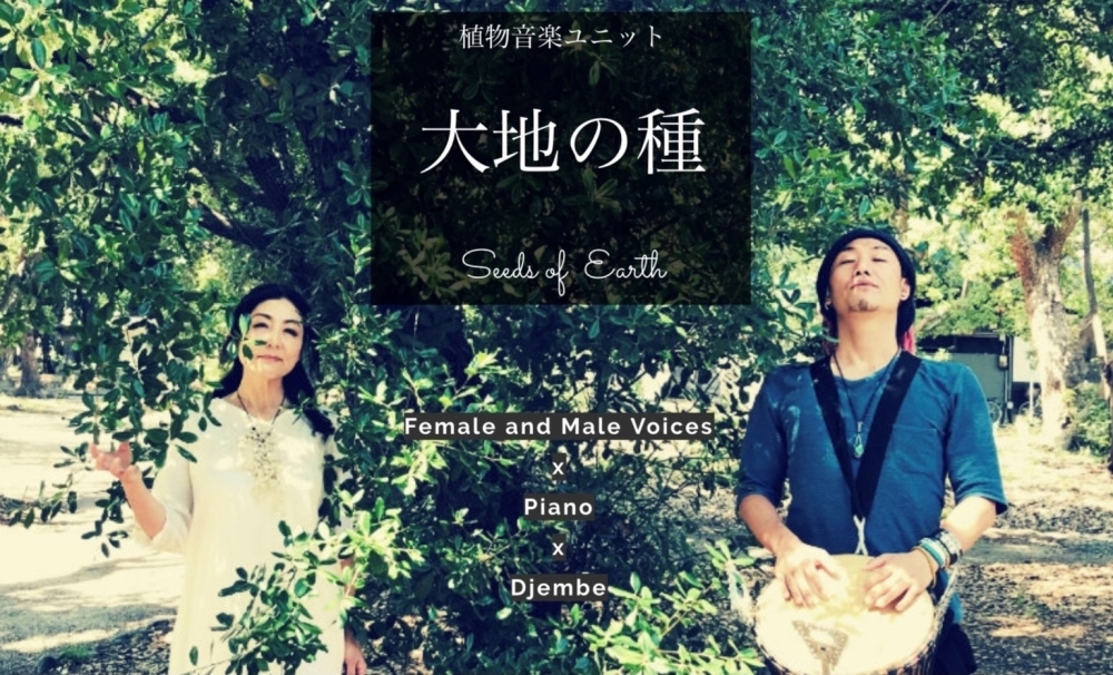 植物音楽ユニット 癒しの音楽の原点 音の瞑想 に出会った かわいいなさんの空中散歩 まいぷれ 川西 猪名川 植物音楽ユニット 癒しの音楽の原点 音の瞑想 に出会った かわいいなさんの空中散歩 まいぷれ 川西 猪名川