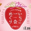 しばたの越後姫 いちご一会めぐり