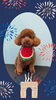 「Dog salon mofu mofu　余市町」