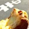 クリーム
