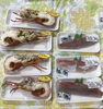 「魚魚市場鮮魚コーナーおすすめは「シマアジ・サンマ」です♪」