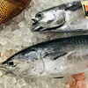 「魚魚市場鮮魚コーナーおすすめは「ゴマサバ」です♪」