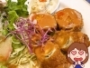 活動歴および当時の関連ビジュアル記録