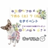 七夕イベント遊びに来てね💓「7月もよろしくお願いします😊」