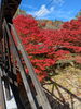 空とのコントラストが素敵です✨️「奥津渓へ紅葉を見に行ってきました🍂」