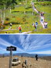 入笠山トレッキングを楽しもう！山頂からは360度の絶景！「富士見パノラマリゾート」