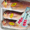 「魚魚市場鮮魚コーナーおすすめは「イサキ・ホタルイカ」です♪」
