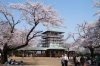 生田緑地枡形山広場 多摩区 お花見するならここ 川崎市の 桜 特集 21年 まいぷれ 川崎市