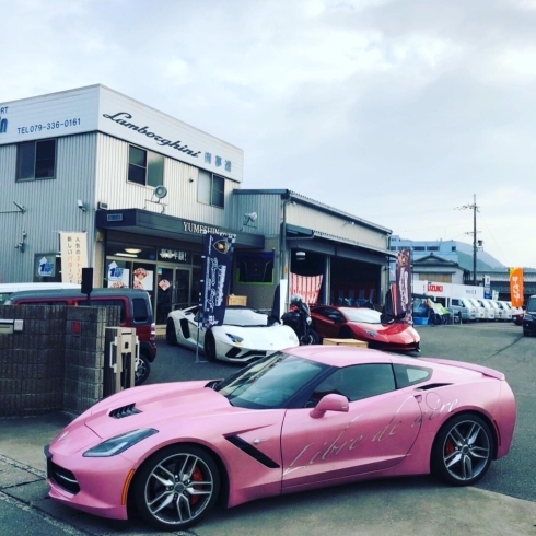 ピンクのコルベット可愛い^_^♡♡♡「姫路の新車、中古車、輸入車、スーパーカー、ランボルギーニ、フェラーリ、ポルシェ販売整備、買取！」