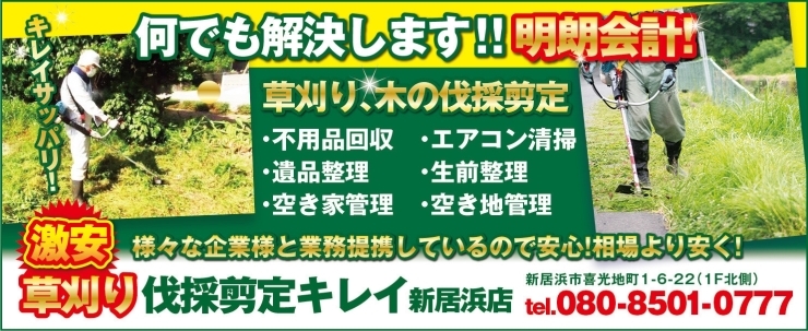 365日24時間受付、秘密厳守、明朗な料金体系をお約束します。 個人宅から広大な空き地まで、草取りから除草剤散布まで、お庭のお手入れを一括で承ります。  「伐採や剪定もお任せください！」 思い切って伐採する場合もあります。 | 激安草刈り伐採剪定キレイ新居浜店の ...