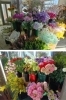当店では、毎週、新鮮なお花を多数入荷しております「花のこいずみ」