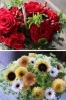 お客様のご要望に合わせてフラワーアレンジメントを承っています「花のこいずみ」