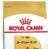 RC BHN ヨークシャーテリア　成犬~高齢犬　1.5kg