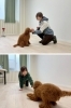 信頼関係を育みながら楽しいトレーニングを目指しています。「Nature Dog Labo」
