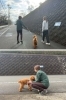 実際に外に出て、日常に近い環境でトレーニングを行います。「Nature Dog Labo」