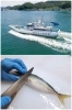 舞鶴港から直送された新鮮な魚をジャーキーに「あいぶん」