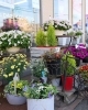 「FLORIST MOKA（フローリスト百花）」