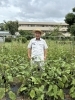 理事長が管理する畑でおこなう収穫体験は貴重な学びの場に「どんぐり保育園」