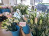 野菜と一緒にお花も。ユリの花が通年あるのも自慢です。「JA魚沼 農産物直売所 うおぬま百菜花ん」