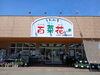 可愛い看板が目印。店舗外には花苗や野菜苗が並んでいます。「JA魚沼 農産物直売所 うおぬま百菜花ん」