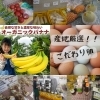 季節ごとに、旬の野菜を店頭に並べています！「駒込野菜市場」