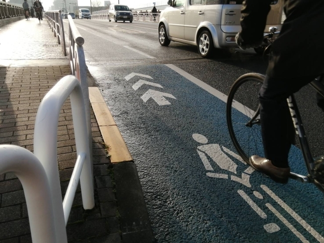 自転車レーン「TOKYO NO1 自転車通行量の葛飾区　【平和橋自動車教習所】」