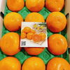 「「せとか」も入荷中です～ 愛媛県産「せとか」」