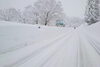 「大雪の爪痕」