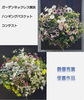 受賞作品（2021年より2年連続最優秀賞受賞）「アトリエ花夢花夢」