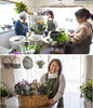 街中に花や緑がたくさん飾られたら素敵だなと思っています「アトリエ花夢花夢」