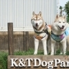 K&T DogPark