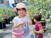 「朝一が狙い目！ブルーベリー観光農園の味覚狩りスタート♪［細谷観光農園（東水元）・2023年6月24日（土）～8月6日（日）まで］※ その日の収穫分がなくなり次第閉園」